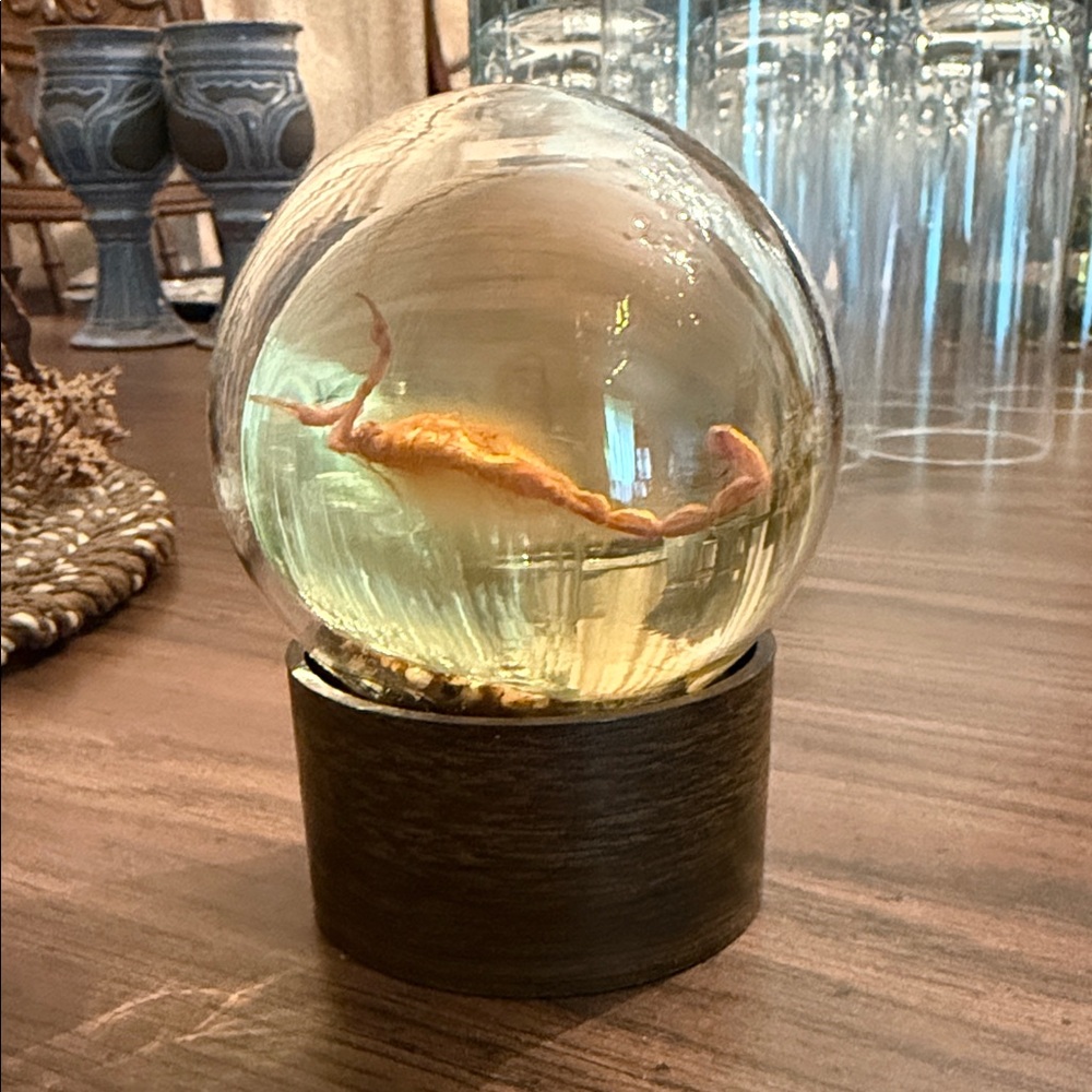 Luxurious Gold Fish Globe with Wooden Base